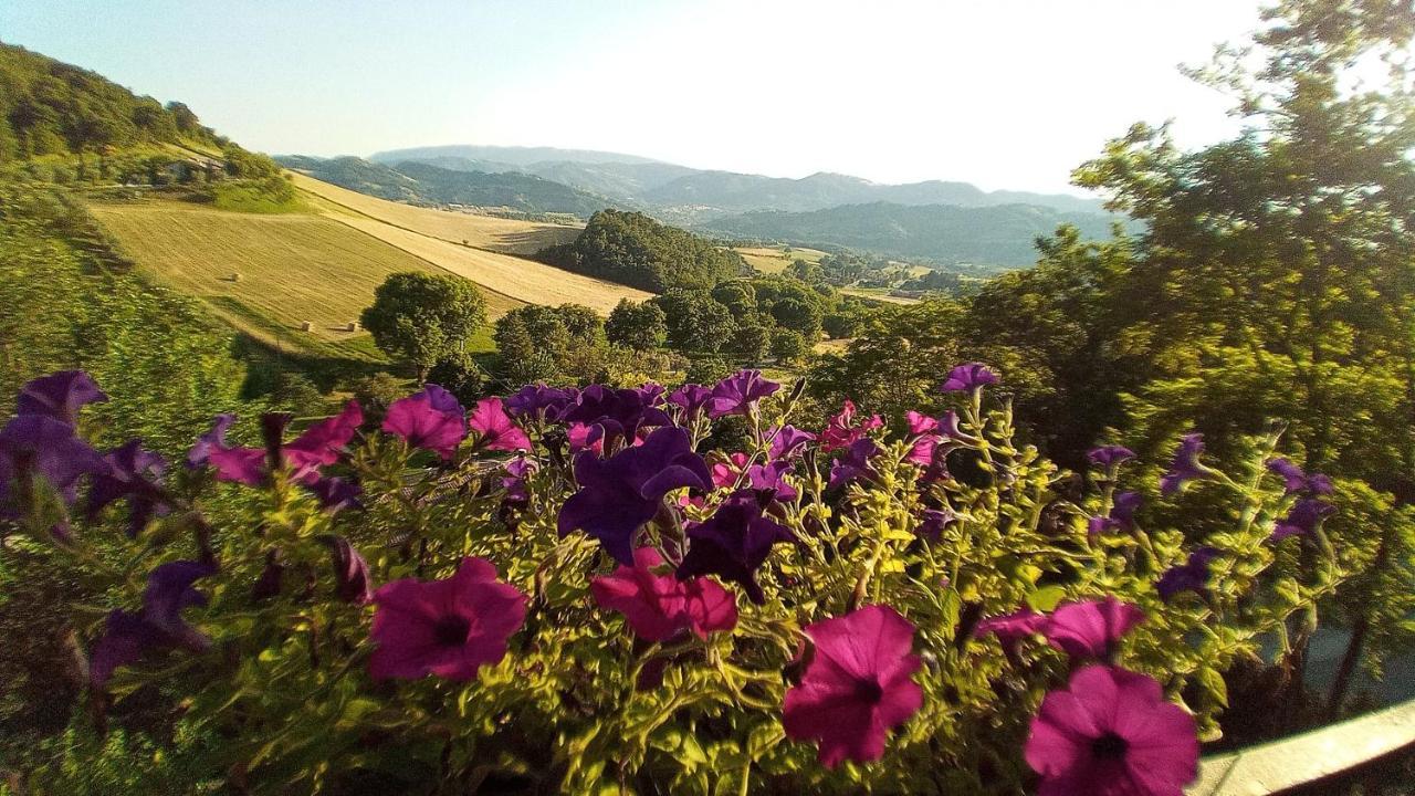 Вілла Agriturismo Le Francesche Ночера-Умбра Екстер'єр фото